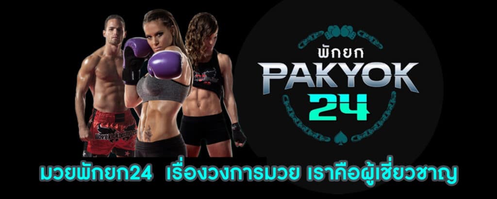 พักยก x ()